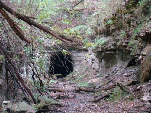 A dark cave entrance surrounded by rocky terrain and overgrown vegetation, with fallen branches and trees nearby.