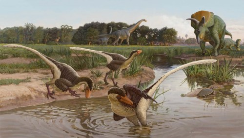 A prehistoric scene featuring feathered dinosaurs near a water source, with larger dinosaurs in the background.