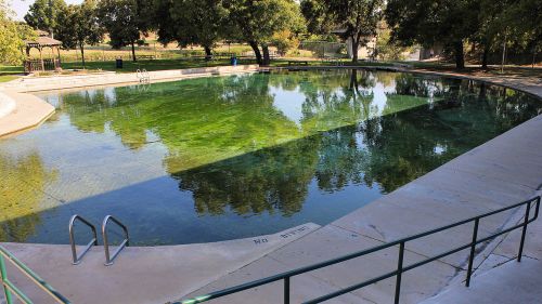 A clear, green-tinted swimming pool surrounded by trees and a concrete deck, with a gazebo in the background.