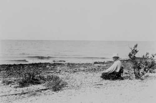 A person sitting on a rocky beach, facing the ocean, with a hat and surrounded by sparse vegetation.