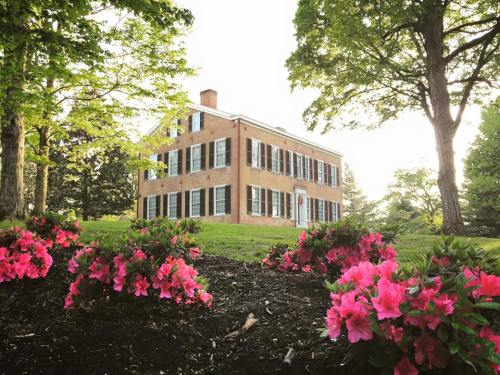 A historic house surrounded by vibrant pink flowers and lush greenery, illuminated by soft sunlight.