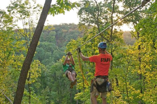 A child zip-lining through a forest, while an adult in an orange shirt assists from the platform.