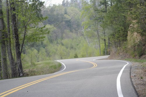 A winding road surrounded by lush green trees and hills, leading into a serene natural landscape.
