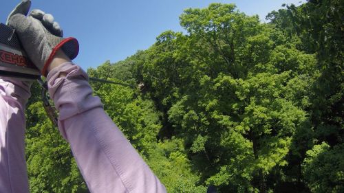 A person's hand gripping a zip line cable, surrounded by lush green trees in a forested area.