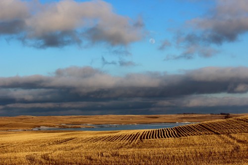 A serene landscape featuring golden fields, a calm lake, and a cloudy sky with a hint of the moon.