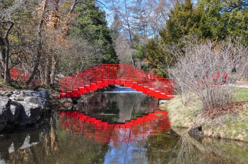 A vibrant red bridge arches over a calm pond, reflecting beautifully in the water, surrounded by trees and shrubs.
