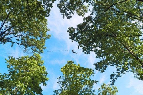 A zip line stretches between tall trees under a blue sky with scattered clouds.
