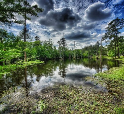 A serene lake surrounded by lush greenery and tall trees, reflecting a dramatic sky with clouds.