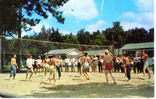 A group of people playing volleyball on a sandy court, surrounded by trees and buildings under a blue sky.