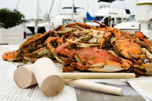 A pile of seasoned crabs on newspaper, with wooden mallets nearby, set against a marina backdrop.