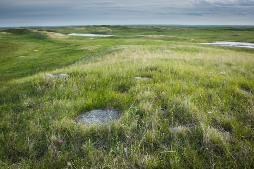 Lush green hills with scattered rocks and small ponds under a cloudy sky, creating a serene natural landscape.