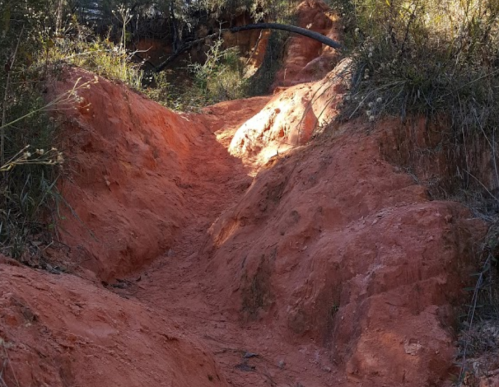 A narrow, reddish dirt path winds through a natural landscape with sparse vegetation and rocky terrain.