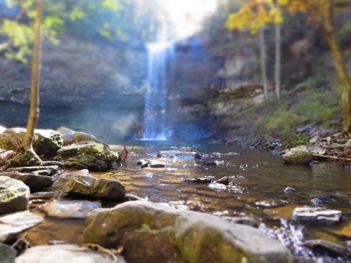 A serene waterfall cascades into a clear stream, surrounded by lush trees and rocky terrain.