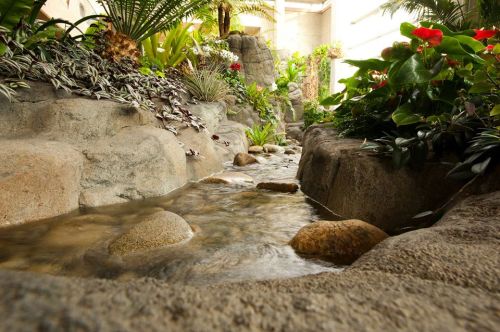 A serene garden scene featuring a small stream flowing over rocks, surrounded by lush greenery and colorful flowers.