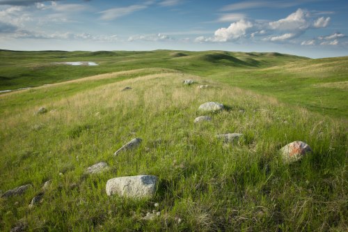A serene landscape of rolling green hills, scattered rocks, and a blue sky with fluffy clouds.