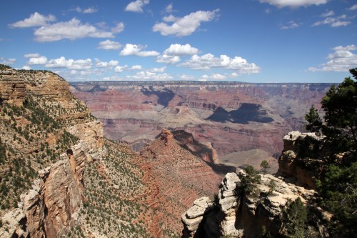 A panoramic view of the Grand Canyon, showcasing layered rock formations and a blue sky with fluffy clouds.