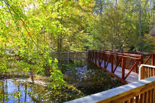 A wooden bridge crosses a serene pond, surrounded by vibrant autumn foliage and lush greenery.