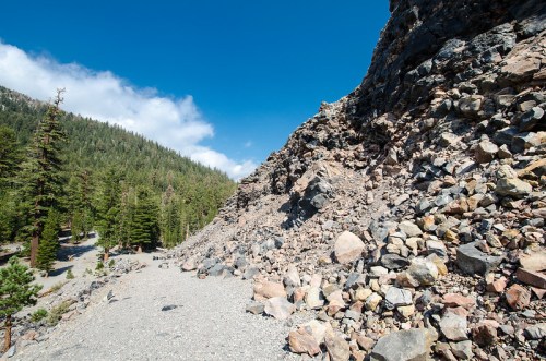 Rocky terrain with a steep slope, surrounded by tall trees and a clear blue sky.