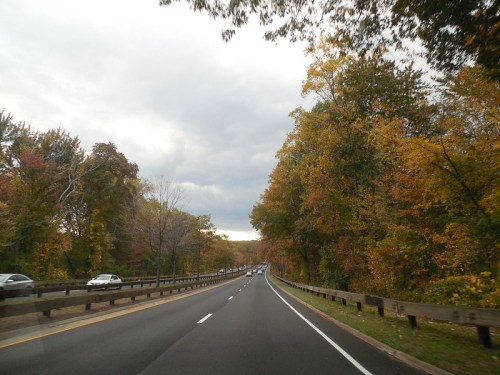 A winding road lined with colorful autumn trees under a cloudy sky, with cars traveling in both directions.