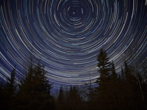 Star trails swirl in a night sky above silhouetted trees, creating a mesmerizing circular pattern.