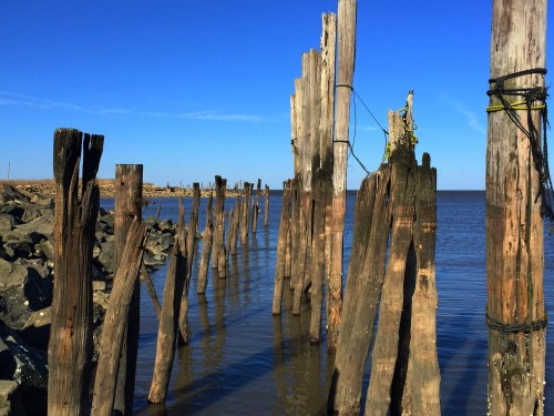 Weathered wooden pilings rise from calm water under a clear blue sky, with rocky shorelines in the background.