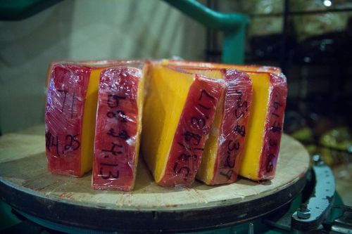 Blocks of cheese wrapped in plastic, labeled with numbers, resting on a wooden surface in a storage area.