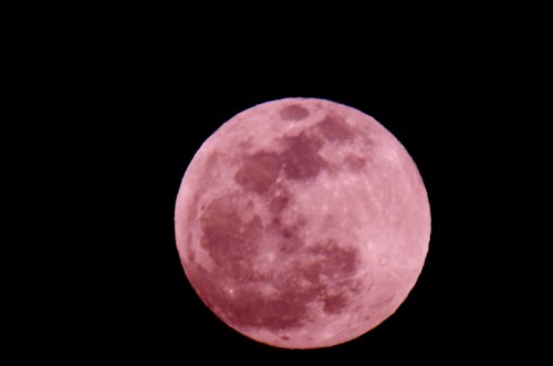 A close-up view of a full moon against a black sky, showcasing its craters and surface details.