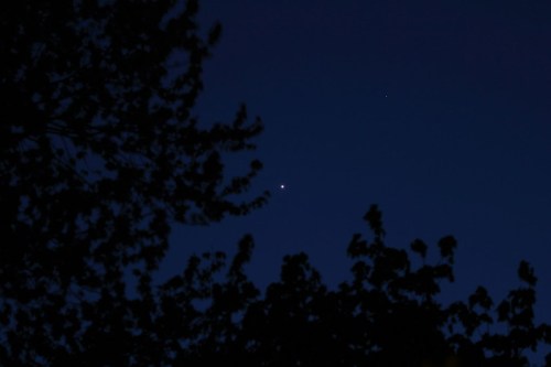 A night sky with a bright star visible among dark silhouettes of tree branches.