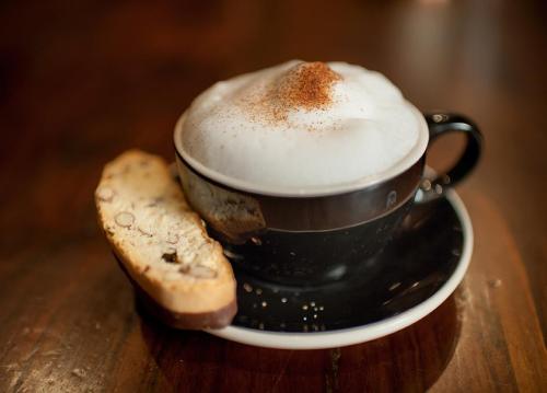 A cup of cappuccino topped with foam and a sprinkle of cocoa, accompanied by a slice of biscotti on a saucer.