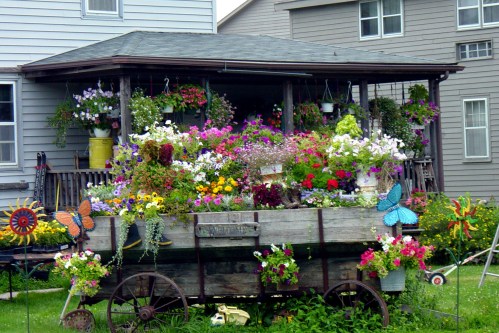 A vibrant garden filled with colorful flowers in a wooden cart, set against a backdrop of a house and gazebo.