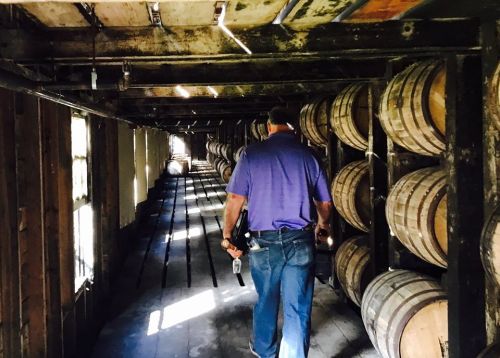A person walks through a dimly lit storage area lined with wooden barrels. Sunlight filters in through the windows.