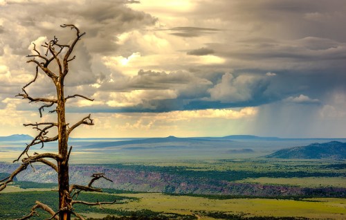 A barren tree stands against a dramatic sky, overlooking a vast landscape of rolling hills and distant mountains.