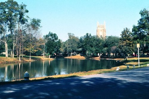 A serene park scene featuring a pond, trees, and a distant tower under a clear blue sky.