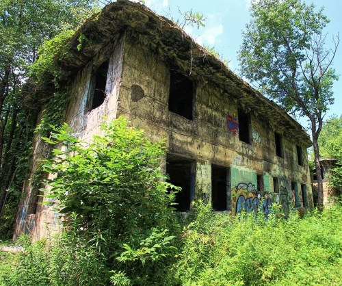 Abandoned building covered in graffiti, surrounded by overgrown vegetation and trees under a clear blue sky.