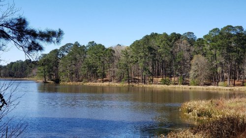 A serene lake surrounded by lush green trees under a clear blue sky.