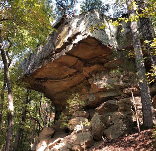 A large, flat rock formation perched above the ground, surrounded by trees in a forested area.