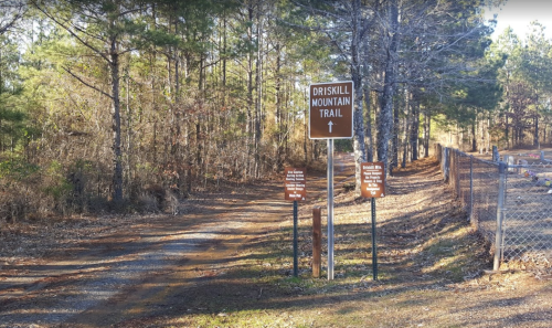 A trail sign for Driskill Mountain Trail, with a dirt path leading into a wooded area.