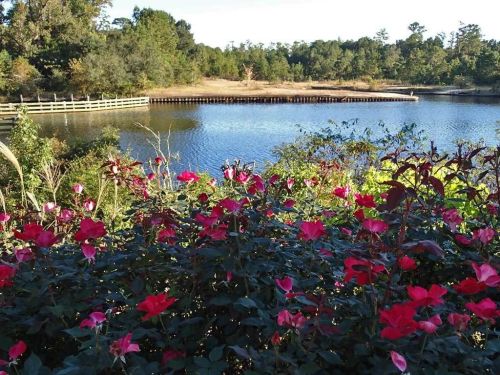 A serene lake surrounded by greenery and vibrant pink flowers in the foreground.