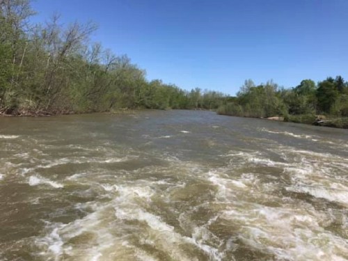 A flowing river surrounded by lush green trees under a clear blue sky.