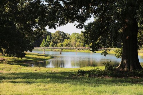 A serene landscape featuring a calm lake, a wooden bridge, and lush greenery under a tree canopy.