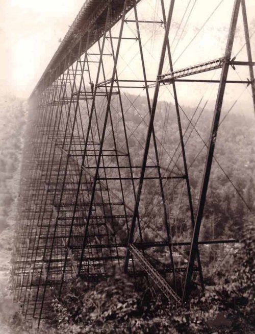 A vintage photo of a tall, metal bridge spanning a lush, wooded valley.