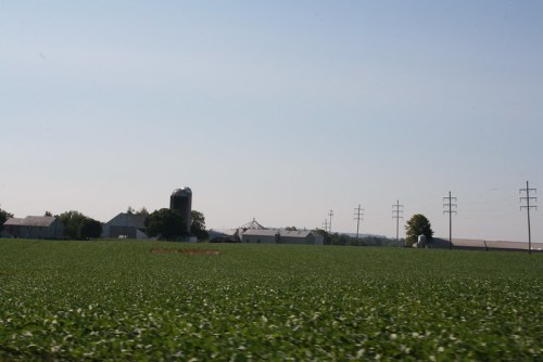 A wide view of a green field with a farm, silo, and power lines under a clear blue sky.