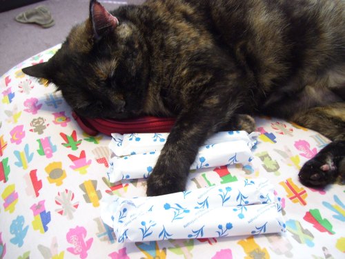 A sleeping tortoiseshell cat rests on a colorful patterned surface next to three wrapped treats.