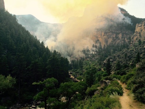 A smoky landscape with tall trees and a winding river, surrounded by steep cliffs and a hazy sky.