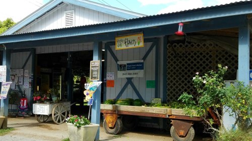 A rustic market with a sign reading "Plumty," featuring watermelons and flowers outside.