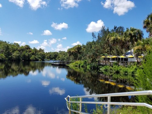 A serene lake surrounded by lush greenery and palm trees, with a deck and bright yellow umbrellas in the background.
