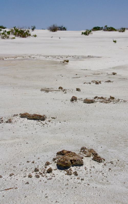 A barren landscape with patches of dry, cracked earth and scattered rocks under a clear blue sky.