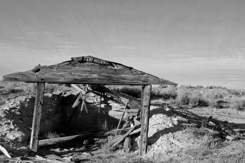 A dilapidated wooden structure stands in a barren landscape, surrounded by dry grass and a clear sky.