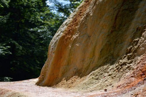A close-up of a textured, colorful rock face with greenery in the background.