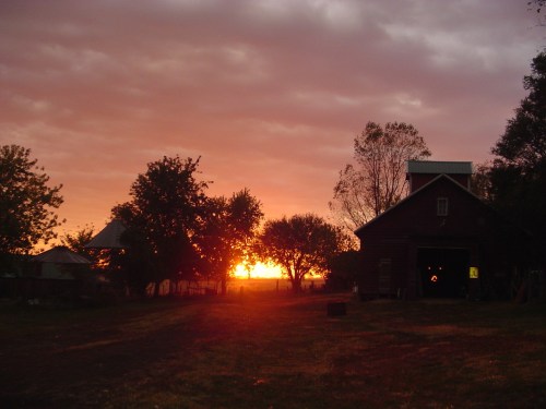 A serene farm scene at sunset, with a rustic barn and trees silhouetted against a colorful sky.
